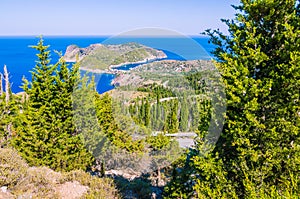 Cypress on a road lead to cute Asos village, Kefalonia in Greece