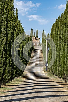 Cypress road to house in Italy