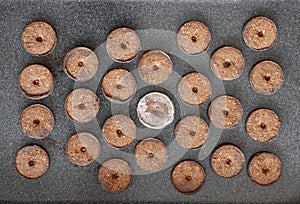 Cypress seeds cultivated in peat pellet tablets