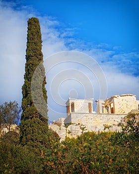 Cypress tree and Athena Nike ancient Greek temple on Acropolis hill