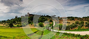 Cypress Trees and Curve Road Tuscany