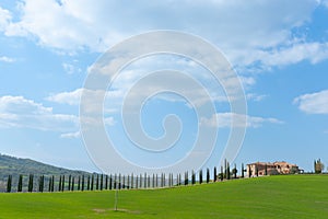 Cypress trees line driveway to distant farmhouse in typical Tuscan rural scene