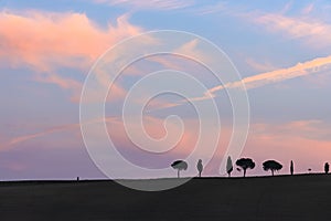 Cypress trees rows with copy space and sunset sky, Tuscany, Italy, Europe