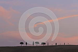 Cypress trees rows with copy space and sunset sky, Tuscany, Italy, Europe