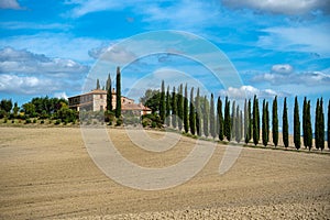 Cypress Trees rows on road to rural house, landscape in orcia near Siena, Tuscany