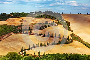 Cypress trees serpentine road in Tuscany, Italy. Amazing Tuscan landscape