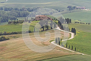 Cypress trees and winding road to villa near Pienza, Tuscany, Italy