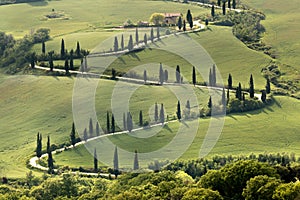 Cypresses and roads of Tuscany