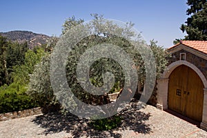 Cyprus. Beautiful summer landscape.	 Monastery courtyard.