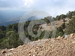 Cyprus. Troodos Mountains. Panorama of wild mountain forests at an altitude of 1900 meters above sea level.