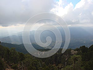 Cyprus. Troodos Mountains. Panorama of wild mountain forests at an altitude of 1900 meters above sea level.