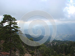 Cyprus. Troodos Mountains. Panorama of wild mountain forests at an altitude of 1900 meters above sea level.