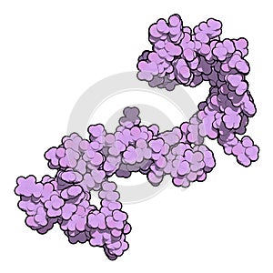 Cystatin C (V57D mutant). Protein used as biomarker of kidney function. 3D rendering based on protein data bank entry 3sva