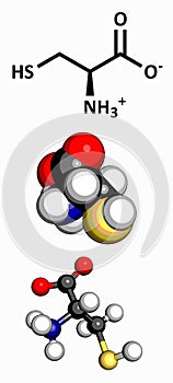 Cysteine (Cys, C) amino acid, molecular model