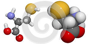 Cysteine (Cys, C) molecule
