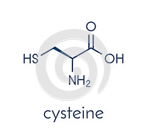 Cysteine l-cysteine, Cys, C amino acid molecule. Skeletal formula.