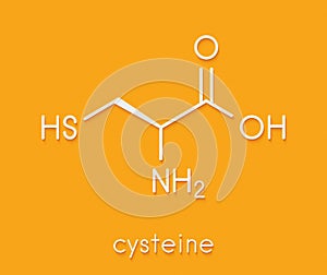 Cysteine l-cysteine, Cys, C amino acid molecule. Skeletal formula.
