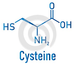 Cysteine or l-cysteine, Cys, C, amino acid molecule. Skeletal formula.