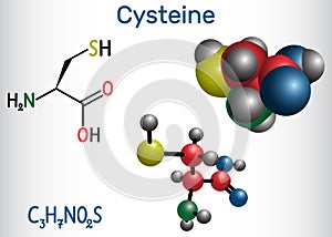 Cysteine L-cysteine, Cys, C proteinogenic amino acid molecule. Structural chemical formula and molecule model