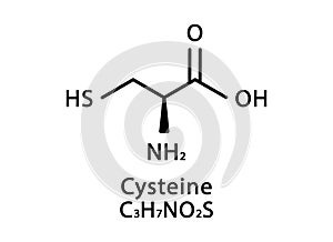 Cysteine molecular structure. Cysteine skeletal chemical formula. Chemical molecular formula vector illustration
