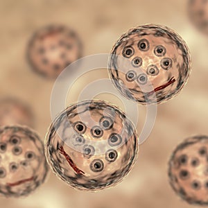 Cysts of Entamoeba coli protozoan, 3D illustration