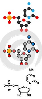 Cytidine monophosphate (CMP, cytidylate) RNA building block molecule