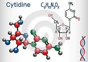 Cytidine - pyrimidine nucleoside molecule, is important part of