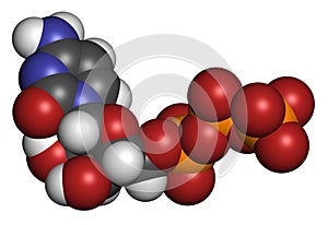 Cytidine triphosphate (CTP) RNA building block molecule. Also functions as cofactor to some enzymes. Atoms are represented as