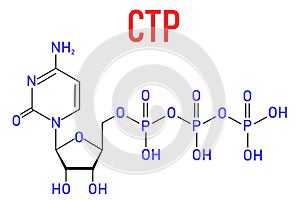 Cytidine triphosphate or CTP RNA building block molecule. Also functions as cofactor to some enzymes. Skeletal formula.