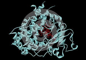 Cytochrome P450 molecule. CYP 3A4 is the most promiscuous of the human CYP enzymes. Molecular model. 3D rendering