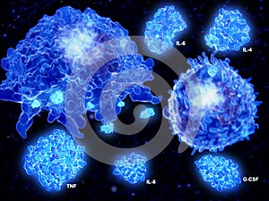 Cytokine storm, macrophage and T effector cell segregate cytokines photo