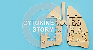 Cytokine storm words and model of the lungs. photo