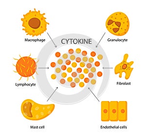 Cytokine structure vector concept photo