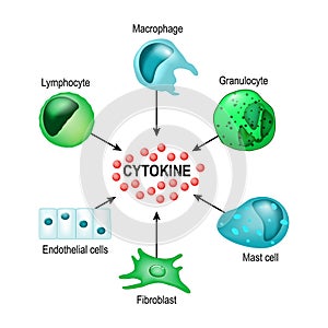 Cytokine. Vector concept photo