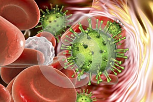 Cytomegalovirus in blood photo