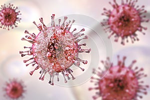 Cytomegalovirus, DNA virus from herpesviridae family photo