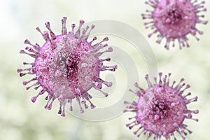 Cytomegalovirus, DNA virus from Herpesviridae family photo