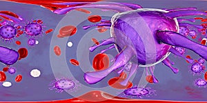 Cytomegaloviruses CMV in human blood