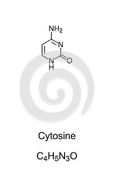 Cytosine, C, Cyt, nucleobase, chemical formula and skeletal structure