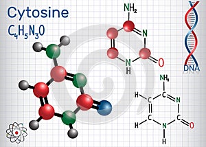 Cytosine C - pyrimidine nucleobase, fundamental unit