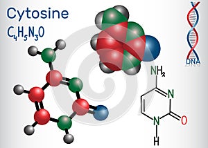 Cytosine C - pyrimidine nucleobase, fundamental unit photo