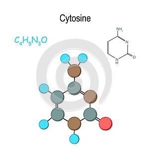 Cytosine. Chemical structural formula and model of molecule. C4H5N3O photo