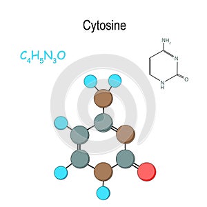 Cytosine. Chemical structural formula and model of molecule. C4H5N3O