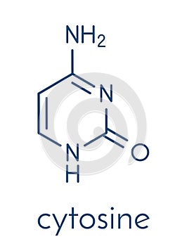 Cytosine pyrimidine nucleobase component. One of the bases found in DNA and RNA. Skeletal formula.