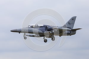 Czech Air Force training jet