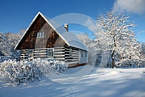 A picturesque Czech cottage nestled in the snowy foothills of the OrlickÃ© hory mountains.