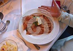 Czech cusine, Weiner Schnitzel, Viennese Restaurant