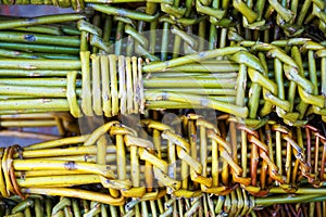 czech easter pussywillow twigs