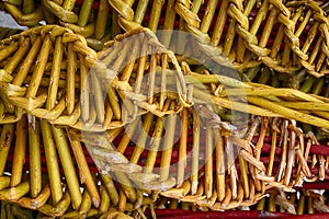 czech easter pussywillow twigs