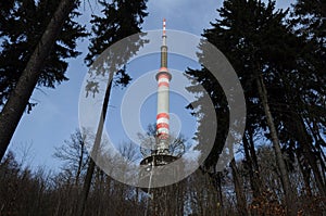 Czech middle mountains - Bukova hora